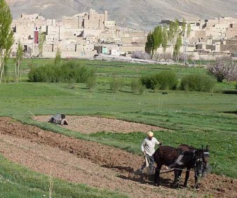 Morocco trekking tours from Mrrakech