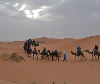 Sahara Camel trekking