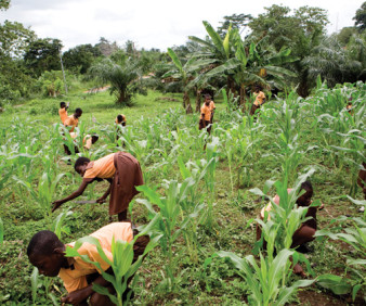 Agriculture tours to Morocco and Mauritania