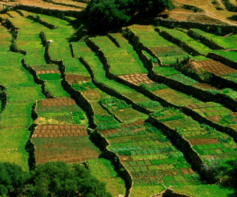 Perma agriculture in Morocco